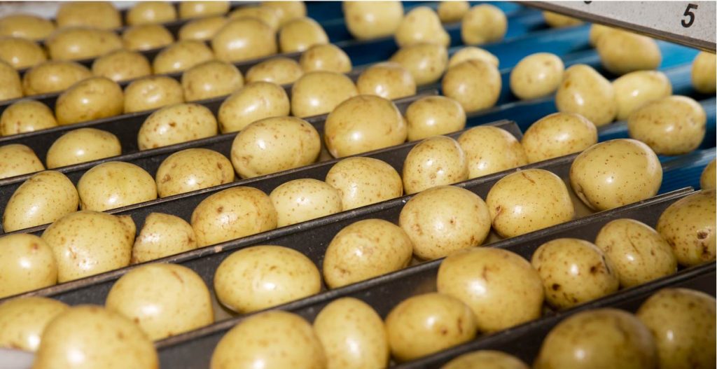 Zakelijke energie in de aardappelverwerkende industrie: lees snel deze drie eenvoudige bespaartips!